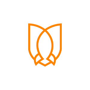 Academia Sommus